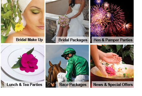 Weddings and Parties Navigation